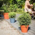 Pot Rond Toscane Ø 25 Cm - 6 L – Image 7