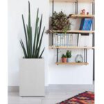 Pot Carré Haut Graphit'Up 29,5 Cm - 36 L – Image 4