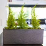 Balconnière Volcania'Up 59 Cm Décor Pierre - 25L – Image 3