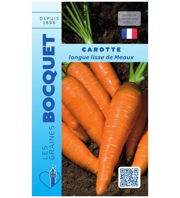 Carotte longue lisse de Meaux De longues carottes de Meaux bien lisses et rectilignes d'un orange intense, présentées juste après la récolte au potager.