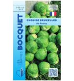 Petits choux de Bruxelles de Rosny, ronds et fermes, fraîchement cueillis et regroupés après la récolte.