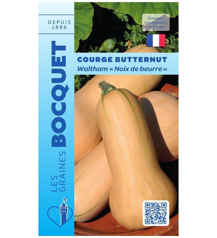 Courge butternut Une courge Butternut entière à la peau lisse de couleur beige-orangé, posée à côté d'une courge coupée en deux révélant sa chair orange vif et ses graines.