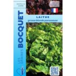 Laitue D'Été Grosse Blonde Paresseuse