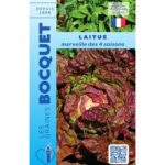 Laitue D'Été Merveille Des 4 Saisons