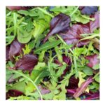 Mesclun Asiatique Dragon Mix