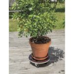 Support À Roulettes Flora Roll Strong Ø40Cm Marron Nortene