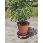 Support À Roulettes Flora Roll Strong Ø50Cm Marron Nortene