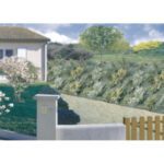 Toile De Paillage Tissée 120G Weedsol 1,25 X 10 M Vert Nortene