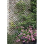 Treillis Extensible En Osier Willow Trellis 0,5 X 1,5 M Nortene