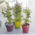 Tuteur Acier Plastifié Steel Plast Ø 11 Mm X 1,5 M Vert Nortene