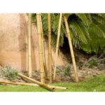 Tuteur Bambou Bamboo Deco 2,40 M - Ø 35-40 Mm Nortene