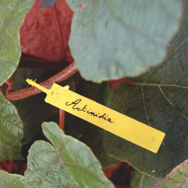 40 étiquettes à suspendre jaunes – marqueurs de plantes et semis