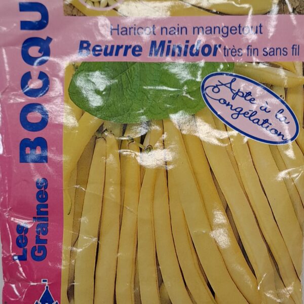 Haricot nain beurre Minidor en gousse, plante potagère
