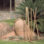 Canne de bambou décorative naturel Ø110‑120 mm pour jardin et support de plantes