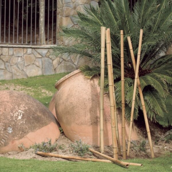 Canne de bambou décorative naturel Ø110‑120 mm pour jardin et support de plantes