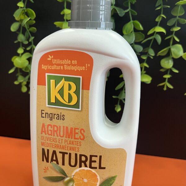 Engrais pour agrumes granulé ou liquide – fertilisant nutritif pour citronniers, orangers et autres agrumes