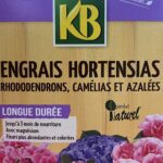 Engrais pour hortensias – fertilisant spécifique pour hortensias et plantes acidophiles