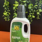 Engrais pour plantes vertes – fertilisant nutritif pour feuillage