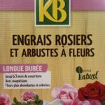 Engrais pour rosiers – fertilisant pour stimuler croissance et floraison