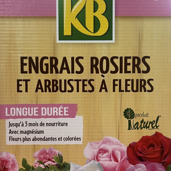 Engrais pour rosiers – fertilisant pour stimuler croissance et floraison