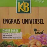 Engrais universel – fertilisant polyvalent pour toutes plantes de jardin et d’intérieur