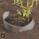 Feutre anti‑rhizomes gris pour barrière anti‑racines dans le jardin