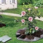 Feutre de plantation pour terre de bruyère gris pour séparer les couches de sol dans le jardin
