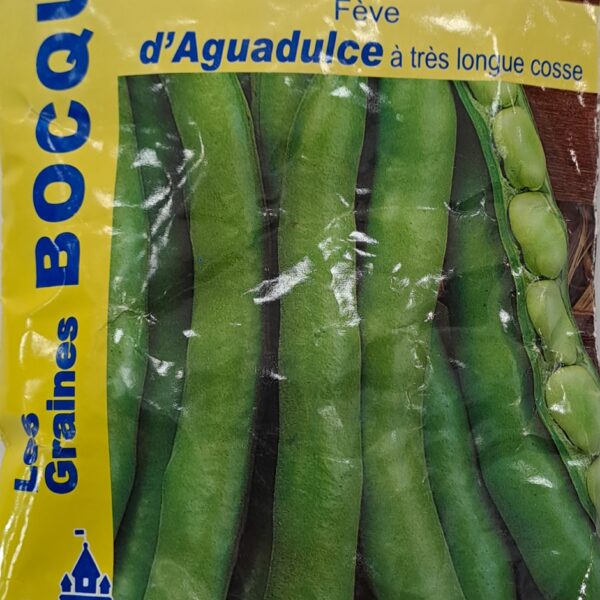 Fève d’Aguadulce en gousses vertes, plante potagère