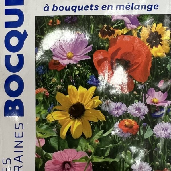 Fleurs à bouquet colorées pour compositions florales