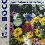 Fleurs pour balcon colorées en pot