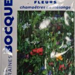 Fleurs champêtres variées en fleurs pour jardin naturel