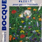 Fleurs pour gazon japonais en fleurs, plantation décorative au sol