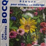 Mélange de fleurs pour attirer les oiseaux dans le jardin