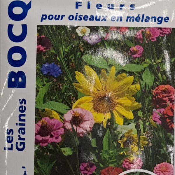 Mélange de fleurs pour attirer les oiseaux dans le jardin