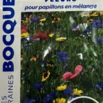 Fleurs attractives pour papillons, plante nectarifère colorée