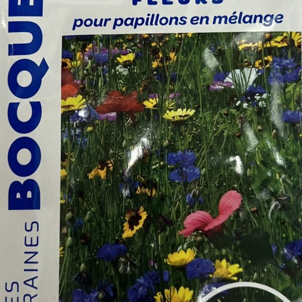 Fleurs attractives pour papillons, plante nectarifère colorée