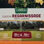 Gazon de regarnissage – semences pour réparer et densifier pelouse dégarnie