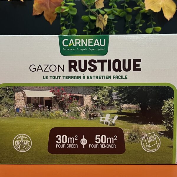 Gazon rustique en graines – pelouse résistante et facile d’entretien