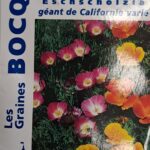 Géant de Californie en fleurs, plante annuelle colorée haute