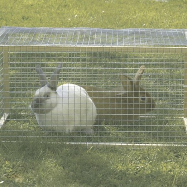 Grillage métallique galvanisé à mailles carrées 2.5 cm pour clôture et jardin