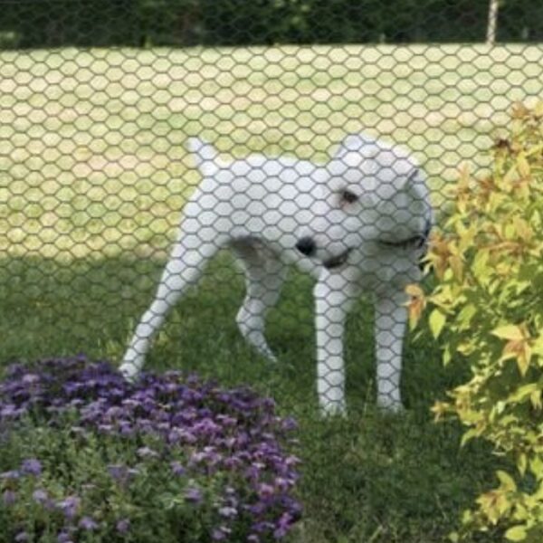 Grillage métallique galvanisé triple torsion mailles 2,5 cm pour jardin et enclos