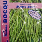 Haricot à rames Monte Bello en gousses verdoyantes, plante potagère grimpante