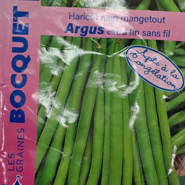 Haricot nain mange-tout Argus en gousses verdoyantes, plante potagère