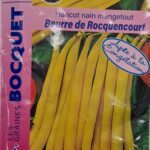 Haricot nain mange-tout beurre de Rocquencourt en gousses vertes