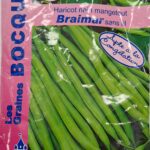 Haricot nain mange-tout Braimar en gousses vertes, plante potagère
