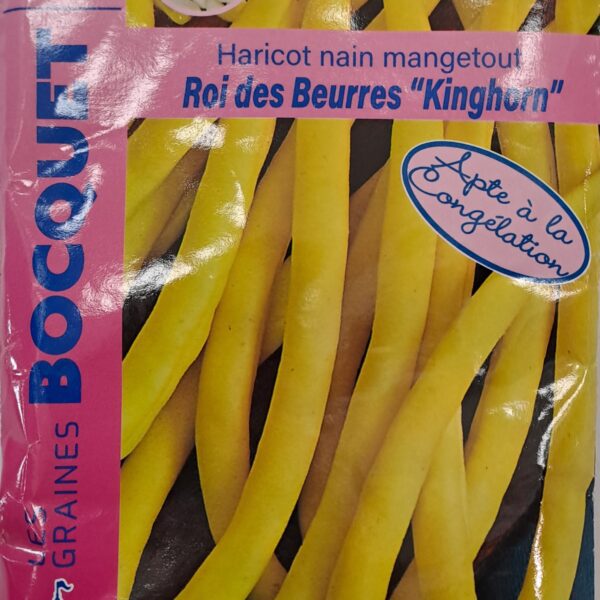 Haricot nain mange-tout Roi des Beurres Kinghorn en gousses vertes
