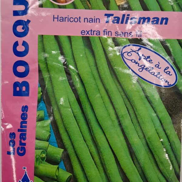 Haricot nain Talisman en gousses vertes, plante potagère