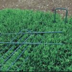 Lot de 10 agrafes de fixation vertes, piquets métalliques pour fixer gazon synthétique et toiles de jardin