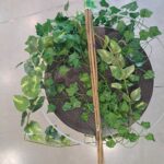 Lot de 6 tuteurs en bambou naturel pour soutenir plantes et tuteurage au jardin