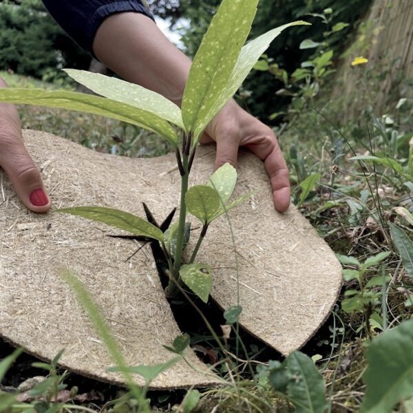Lot de 2 disques de paillage naturel pour jardin et massifs de plantes